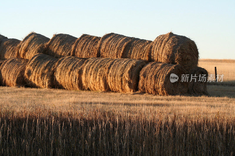 有Barrels