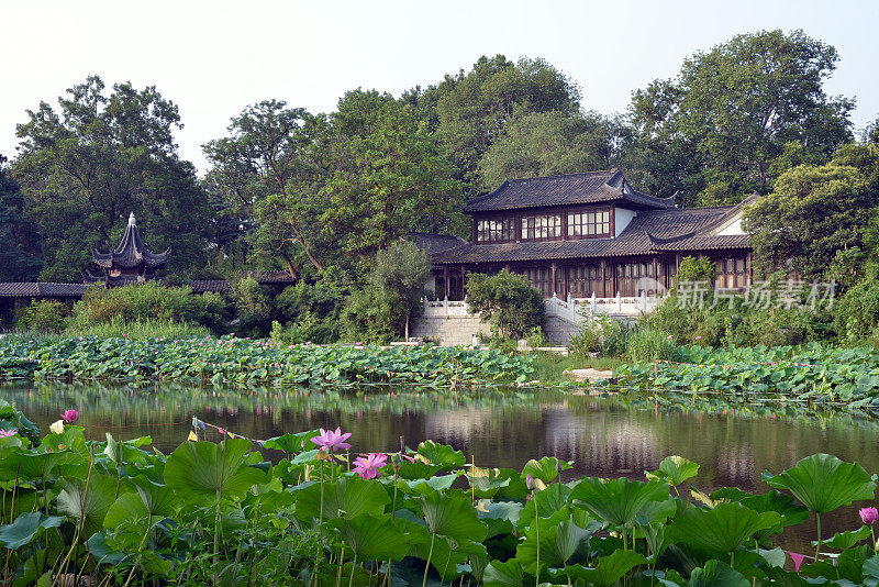 玄武湖公园的花园景观