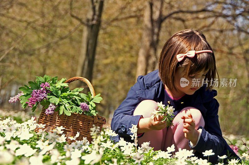 春天——小女孩在采摘春天的花朵