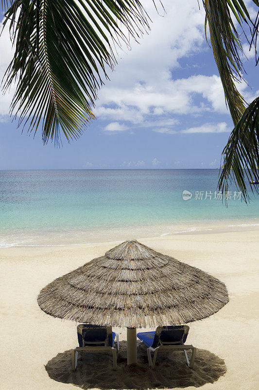 沙滩上的躺椅和凉棚伞