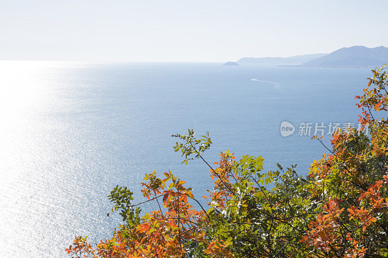 半山腰的秋色，在海面上