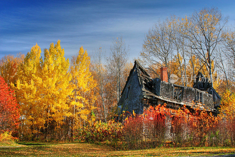 倒塌和废弃的房子在秋天的树