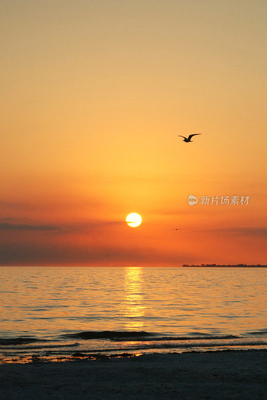 墨西哥湾海岸日落