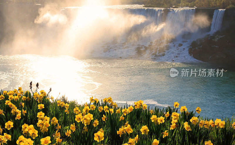 尼亚加拉美国瀑布春天的早晨