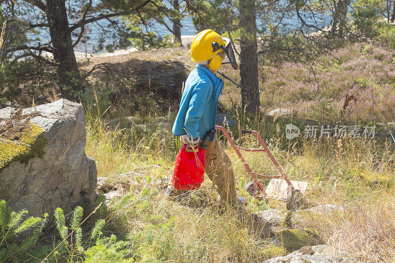 金发小男孩在斯德哥尔摩群岛收集柴火。