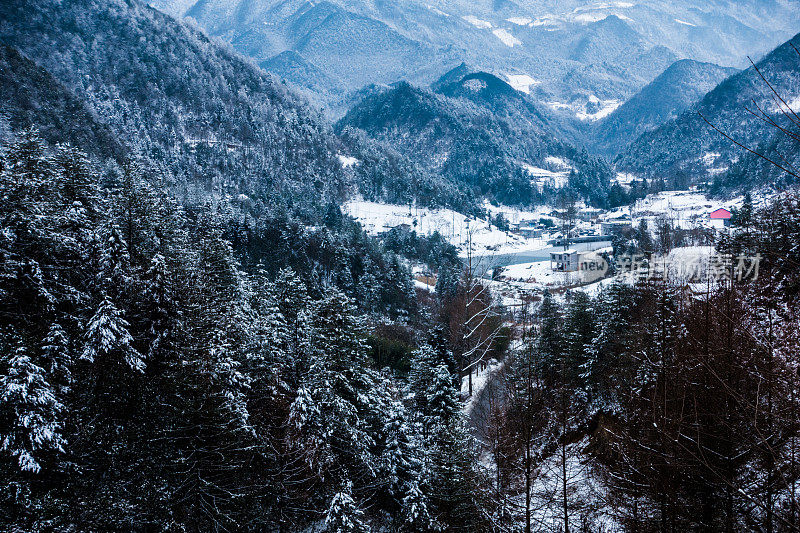 冬天的风景