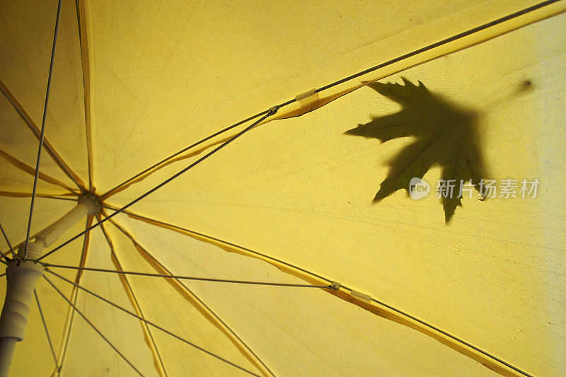 秋天离开，雨点落在伞上