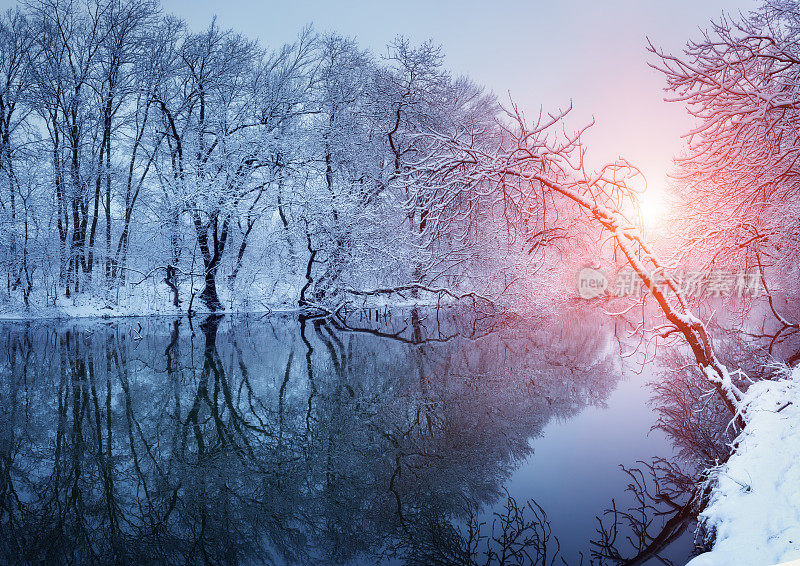 美丽的冬天在河边的森林日落