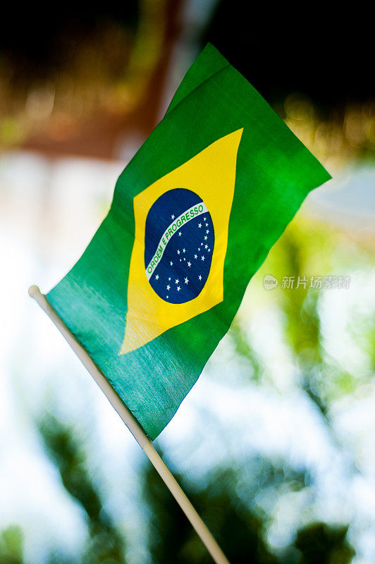 巴西国旗飘扬3号
