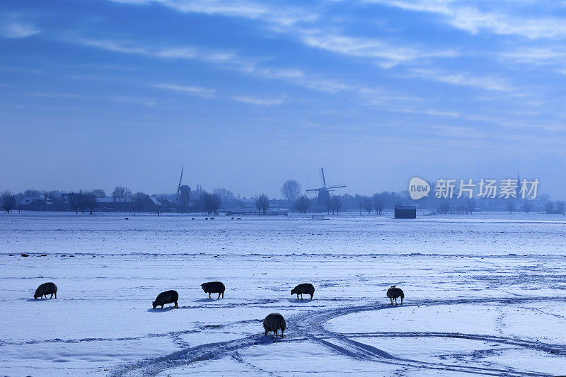 荷兰的风车在冬天的风景