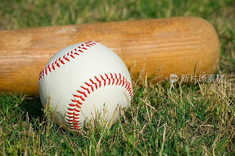 棒球,蝙蝠