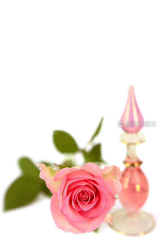 漂亮的粉红玫瑰和香薰精油