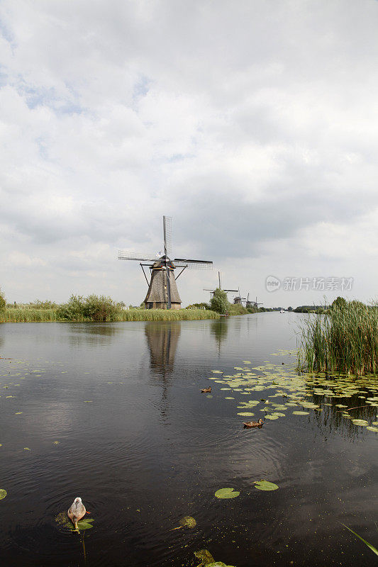 风车在Kinderdijk