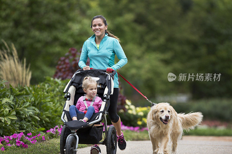 女人慢跑与金毛猎犬和婴儿车