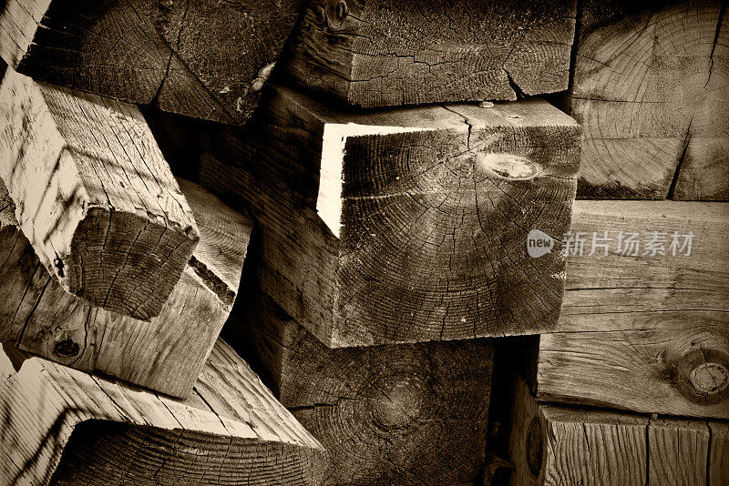 木材桩背景，木材端粒，B&W全框架特写