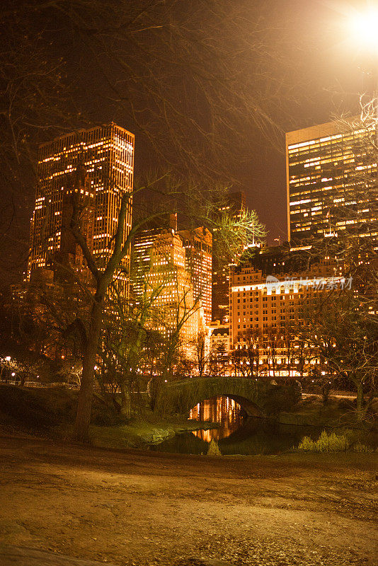 纽约中央公园的冬季夜景