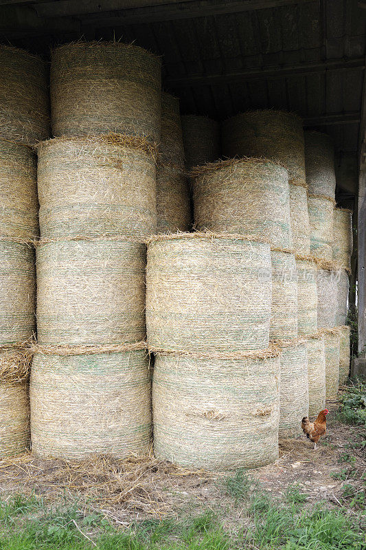 谷仓里的圆草捆