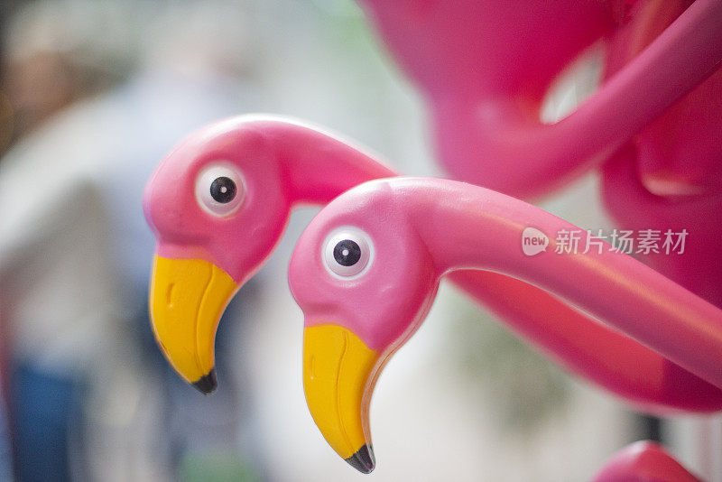 塑料粉红色的火烈鸟
