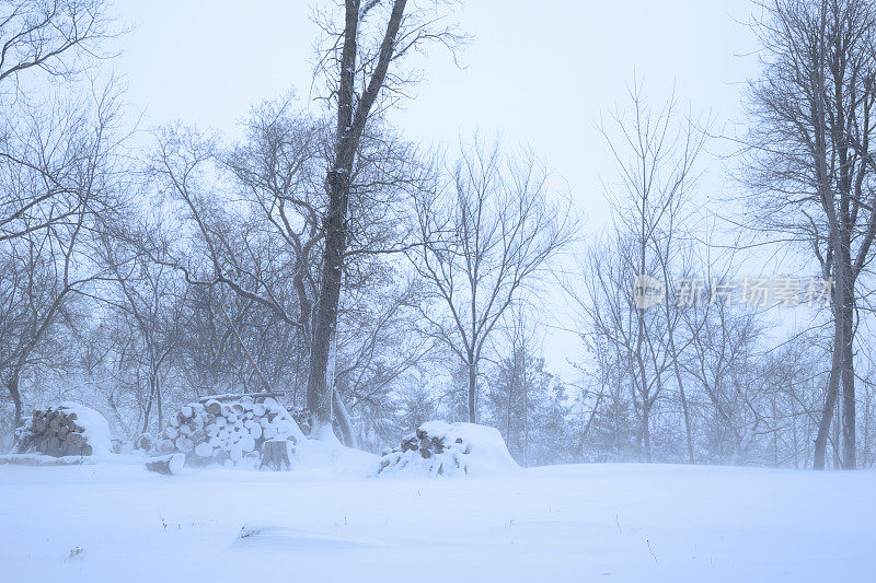 明尼苏达冬天多雪-堆积的柴火在暴风雪