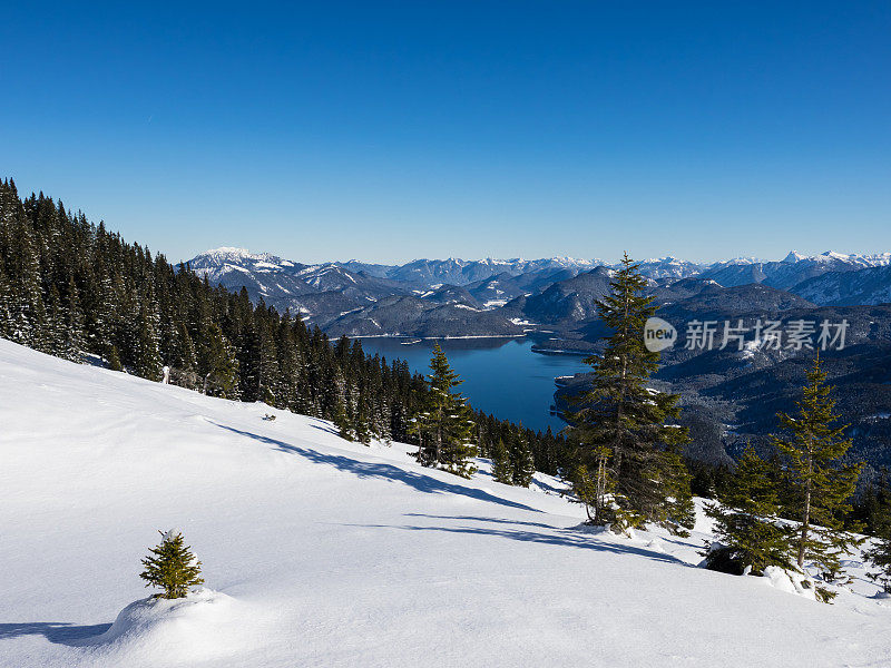 阿尔卑斯山冬季的风景