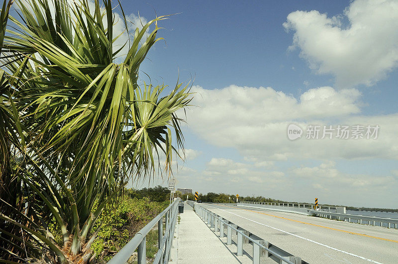 手掌和道路