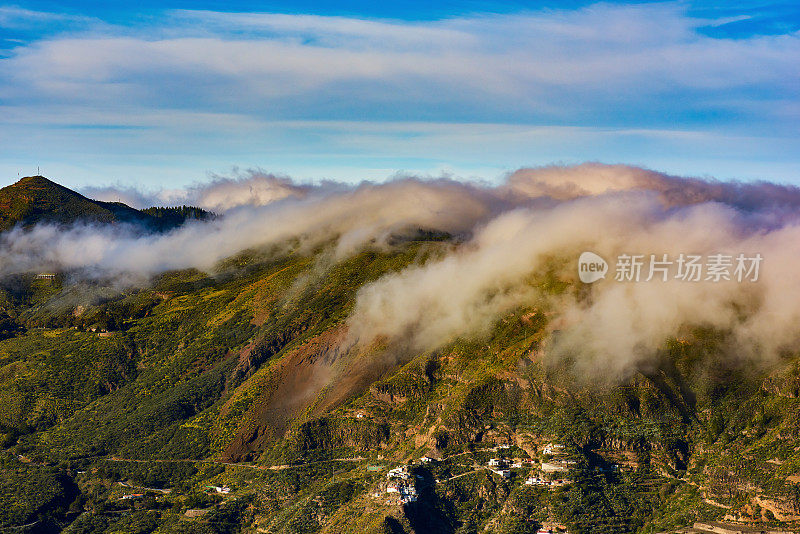 春天的大金丝雀美景