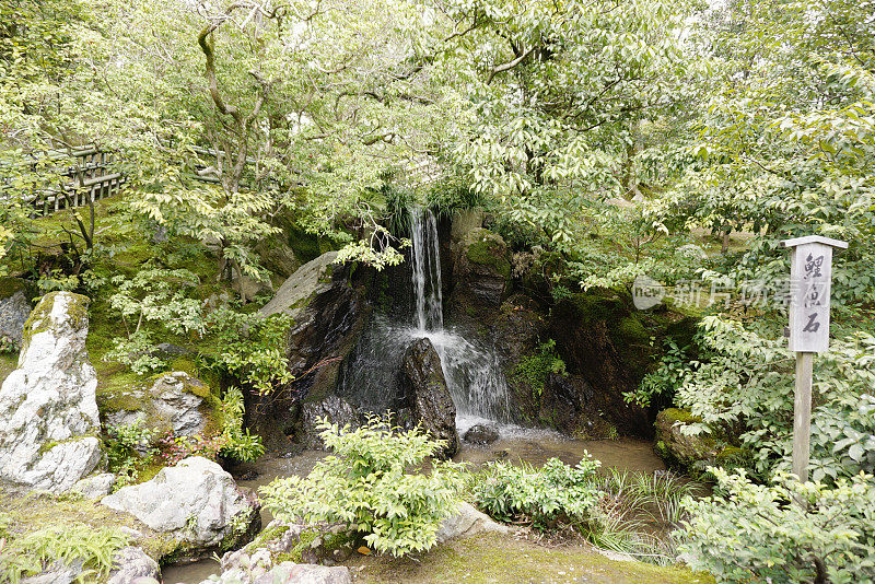 禅宗花园中的小天然瀑布