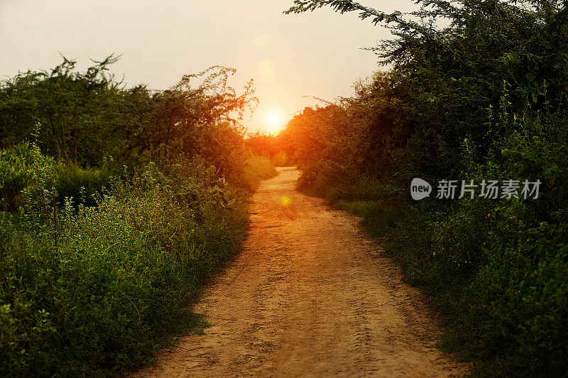 乡村道路与日落