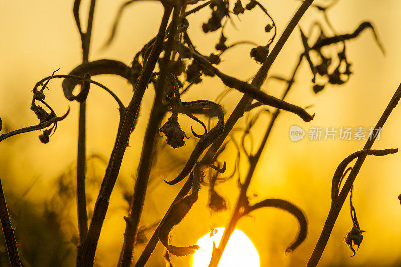 地中海拱门上夏日的日出