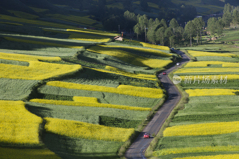 汽车行驶在乡村道路，高架的视野