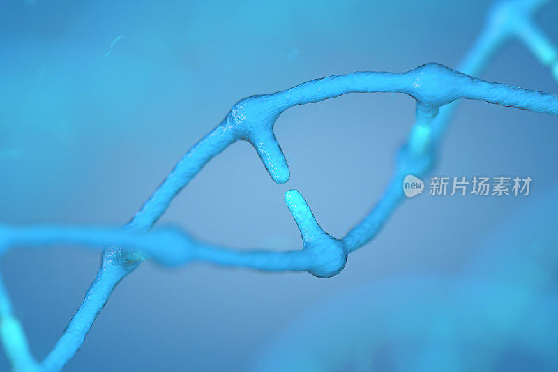 神经丛DNA分子模型