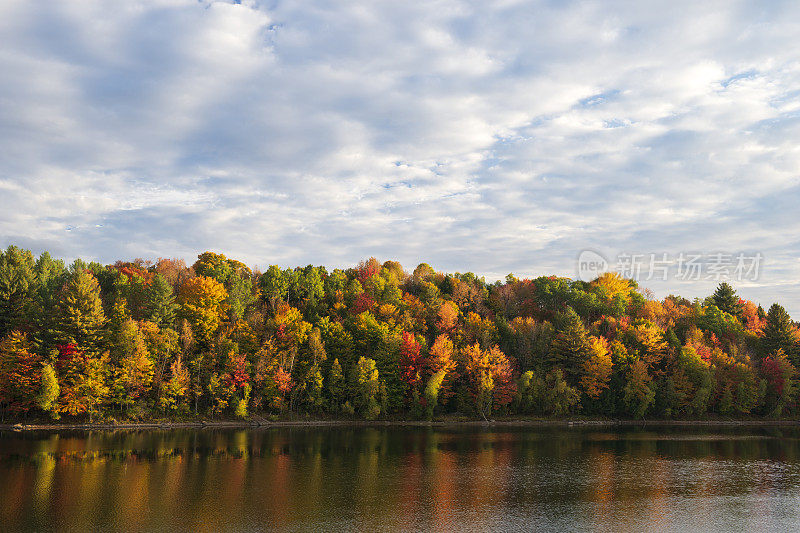 沃特伯里中心州立公园的秋色