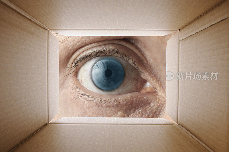 男人的蓝眼睛盯着里面的纸箱