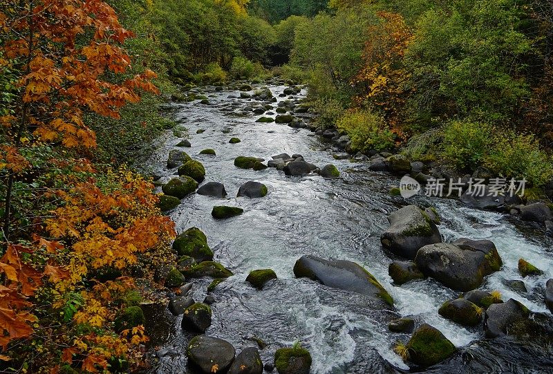 北福克威拉米特河禅宗