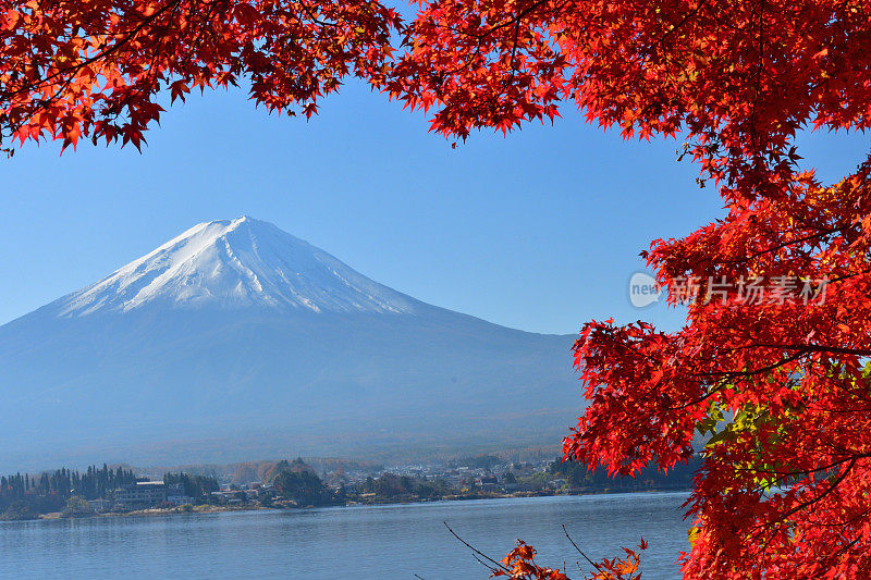 日本富士五湖地区的富士山和秋叶