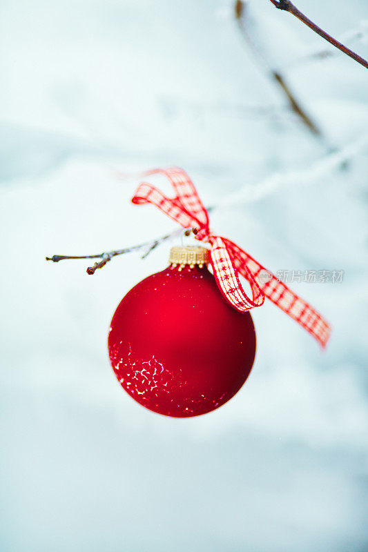 白雪覆盖的树枝上挂着红色的圣诞装饰物
