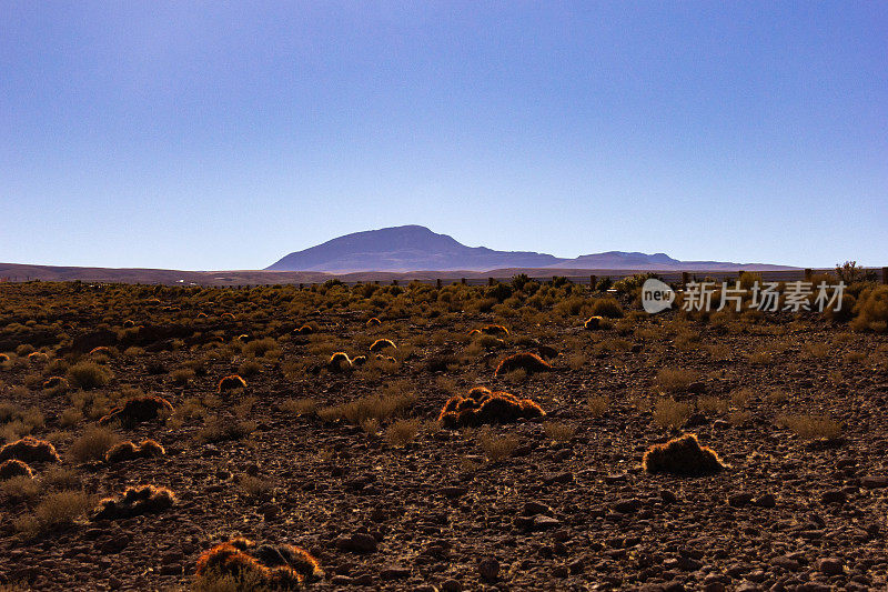 美丽的智利风景，阿塔卡马沙漠。