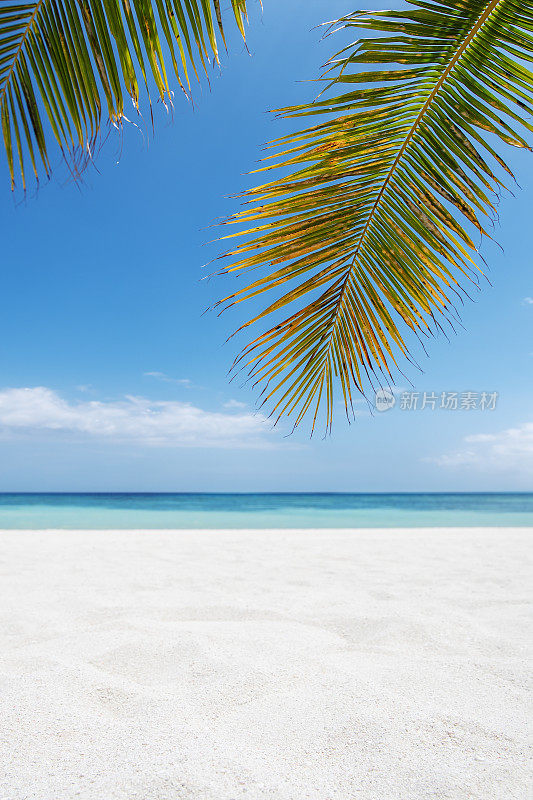 热带天堂海滩沙复制空间场景