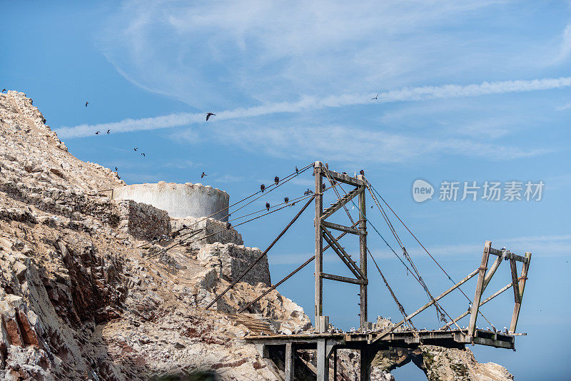 秘鲁巴列斯塔斯群岛国家保护区的南美海鸟