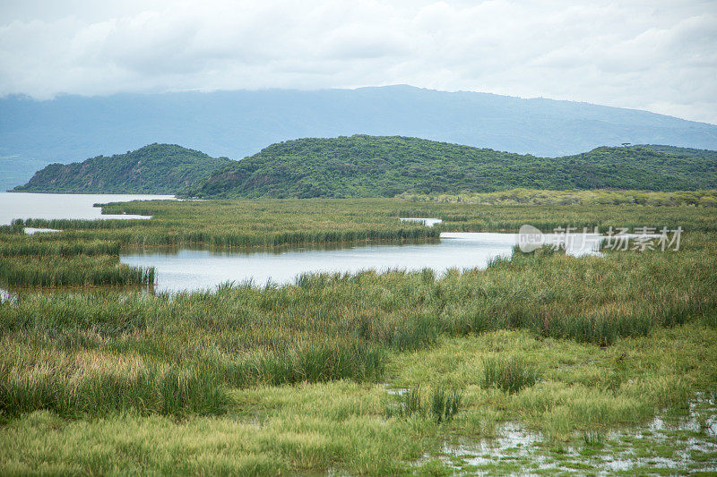 埃塞俄比亚:Chamo湖