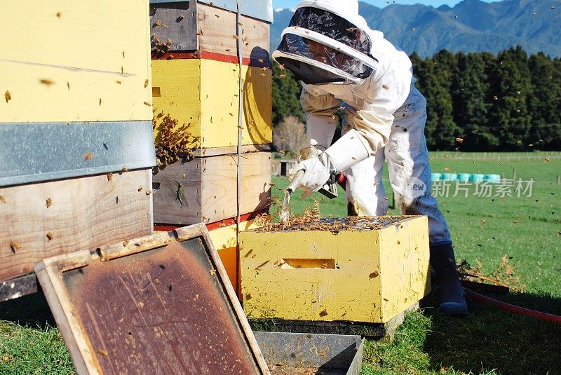 穿着蜜蜂服的孩子在忙他的蜂箱