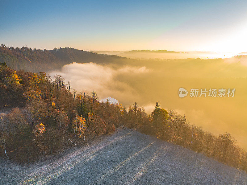 爱丽儿看到青蛙秋天