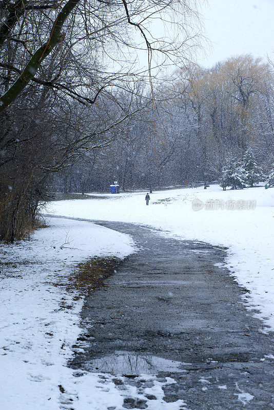 雪景多伦多公园