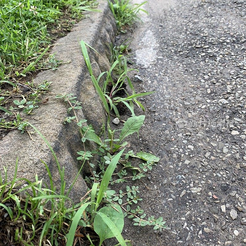 雨后城市的限制