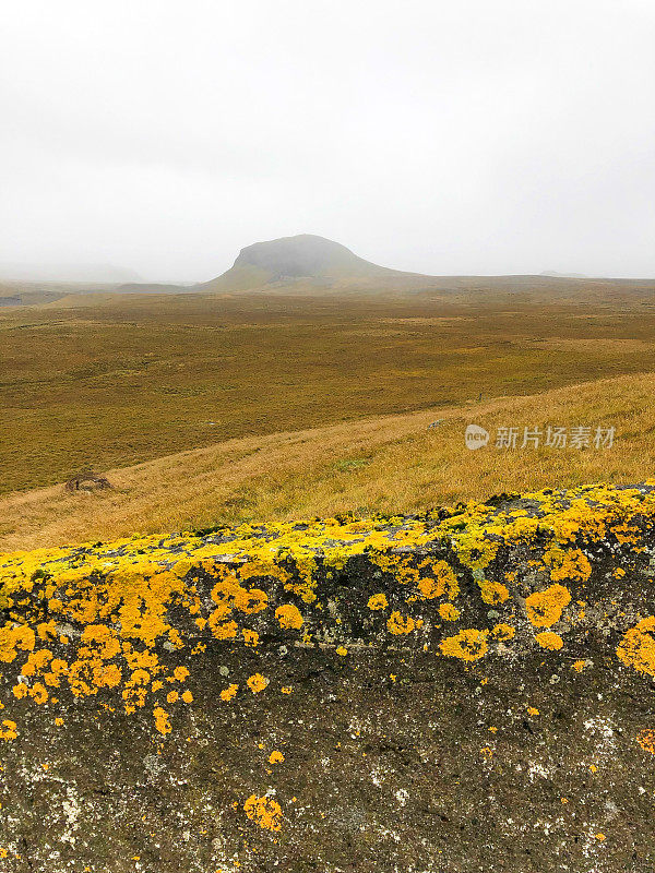 冰岛Hellissandur:秋季火山苔藓景观，石墙