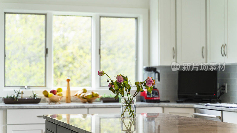 现代厨房内部在豪华住宅，有宽窗户和自然光线。厨房桌子上的花瓶里有一大束粉红色的干玫瑰。