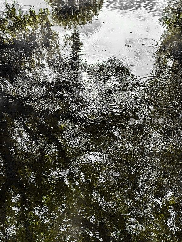 雨水落在池塘上