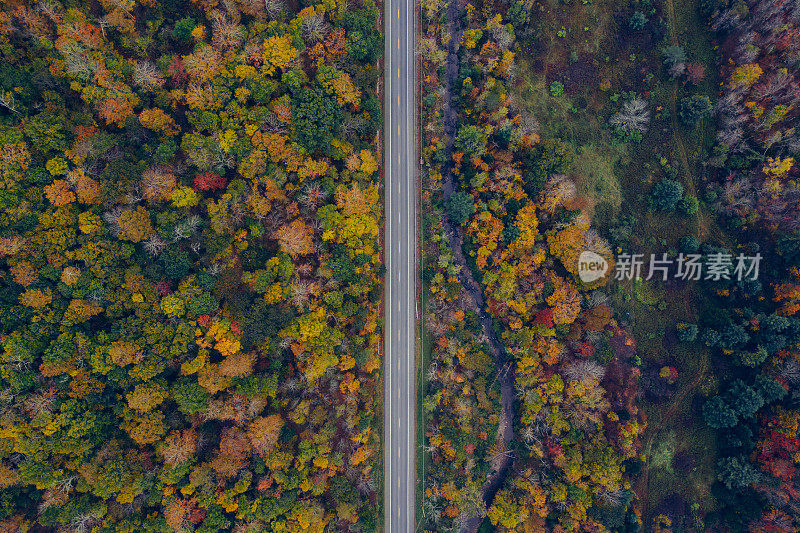 在卡茨基尔山保护区的空中公路旅行