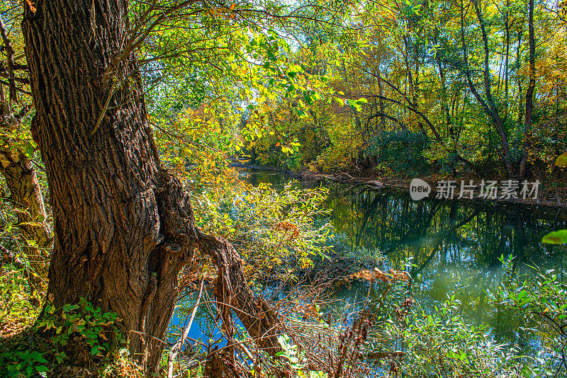 这是一幅被森林包围的河岸边的秋天风景图