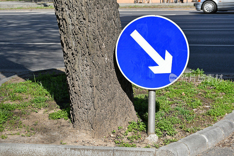 树旁的箭头交通标志